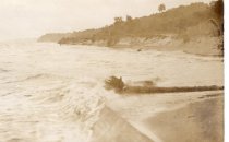 Beach and bluff at Arden Shore